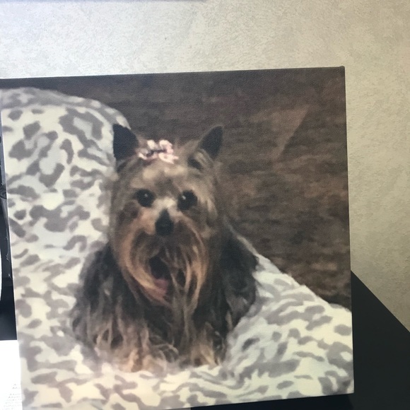 Meet your Posher, Treena - Picture 1 of 1